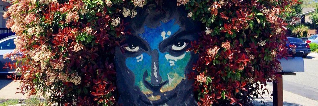 Aries banner
