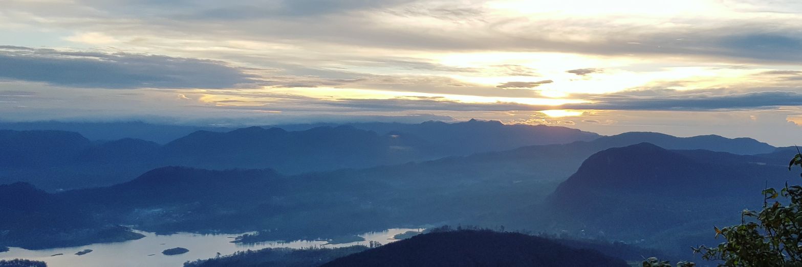 anudi_'s profile banner image
