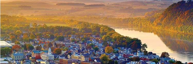 RoteefordHornb banner