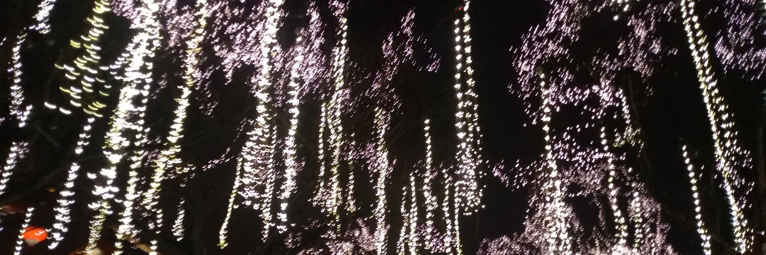 alexiafarf's profile banner image