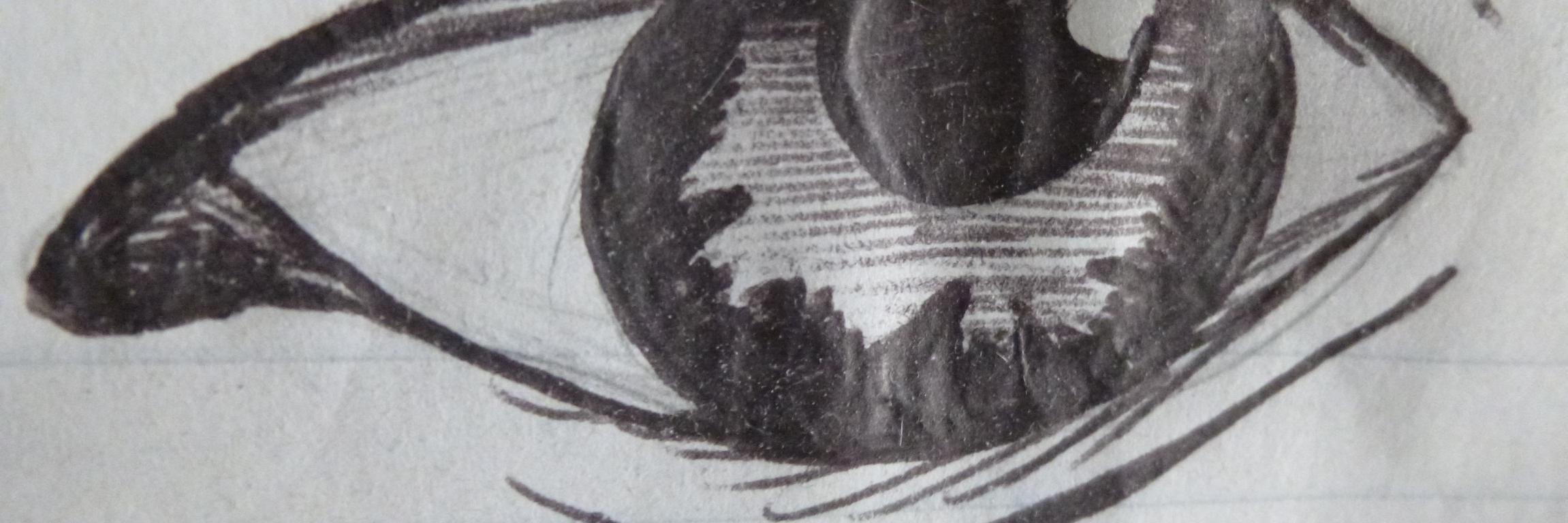 kimadelman's profile banner image