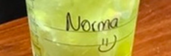 Norma Candela banner