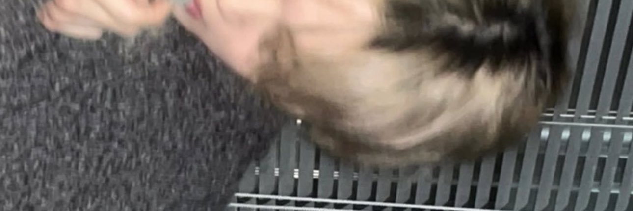 peachjmi's profile banner image