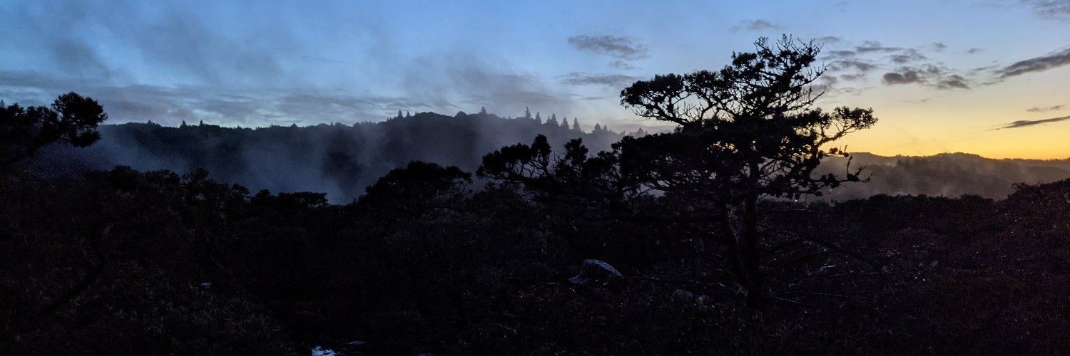 wolf of the woods banner