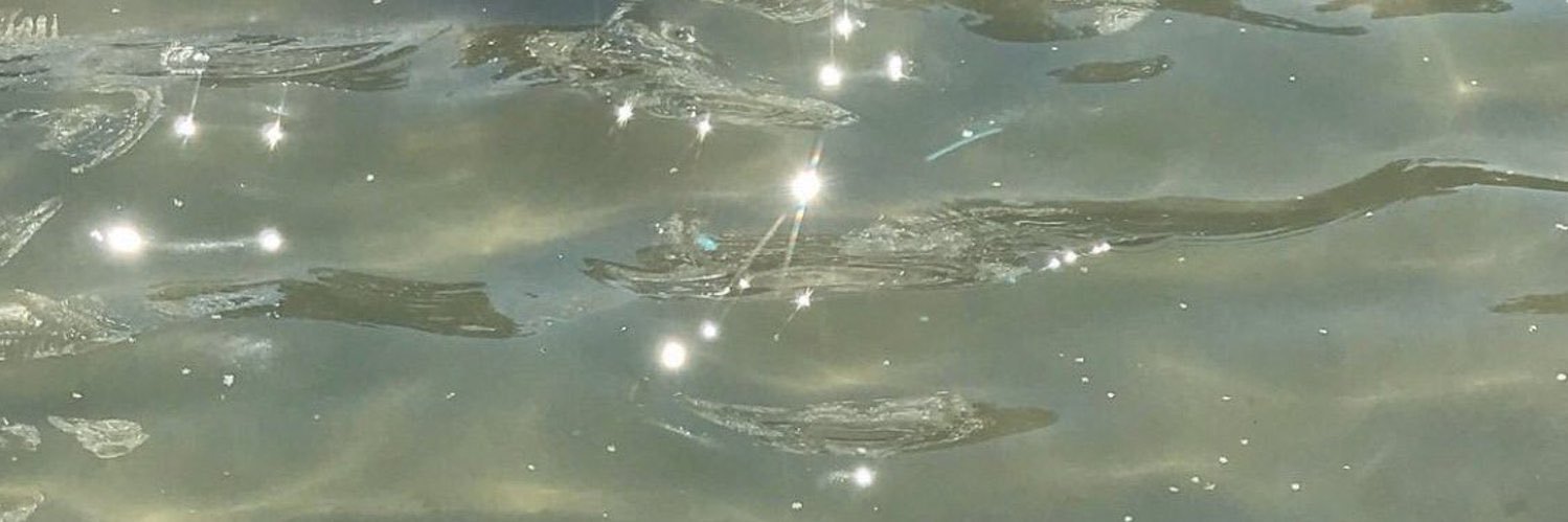 amalvva's profile banner image
