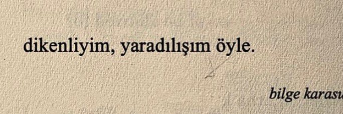 ozlemmse_'s profile banner image