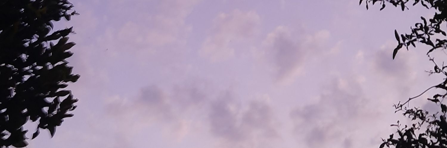 __shiitttt's profile banner image