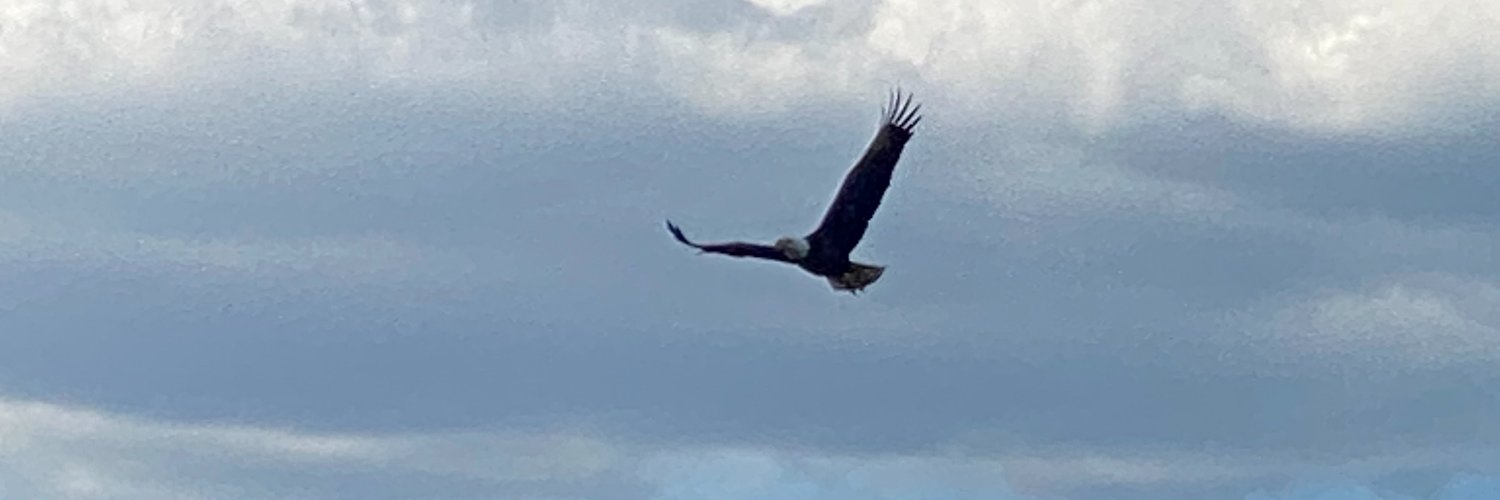 Q17Bob's profile banner image