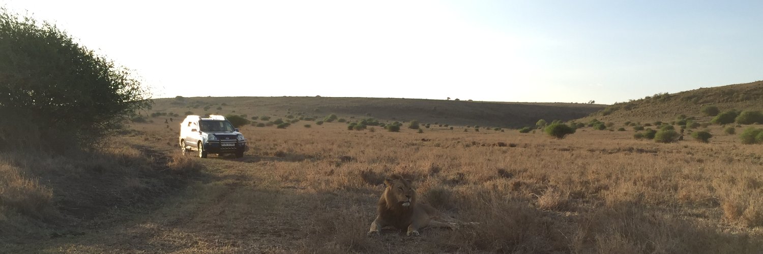 Simba_Long banner