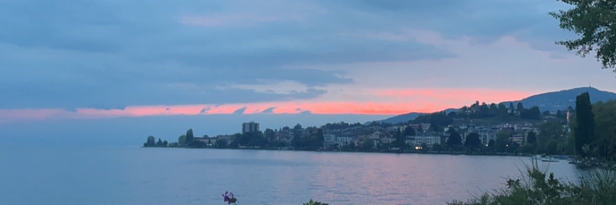 W🛂 banner