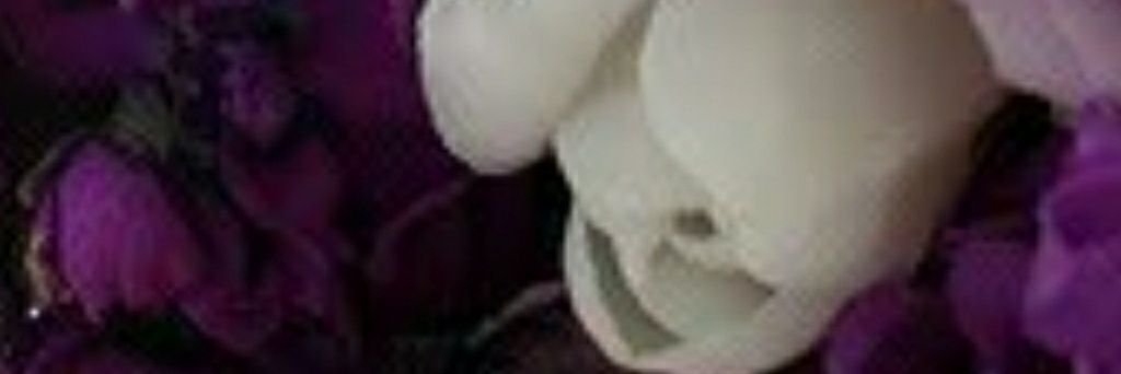 Maureenabeany's profile banner image