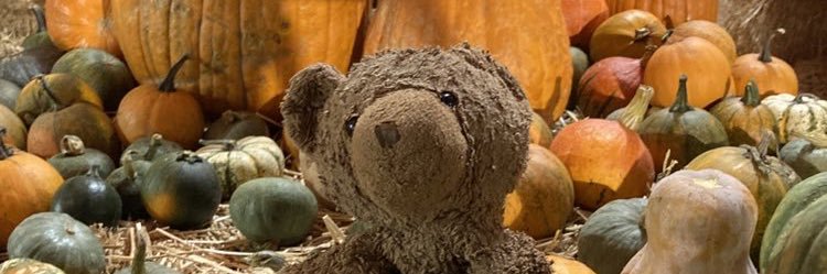 ( 'ᴥ' )🧇🍓in the motif maze banner