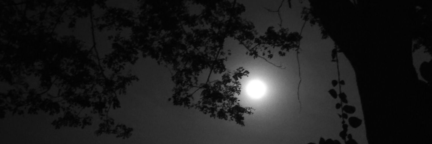 Chiranjit782's profile banner image