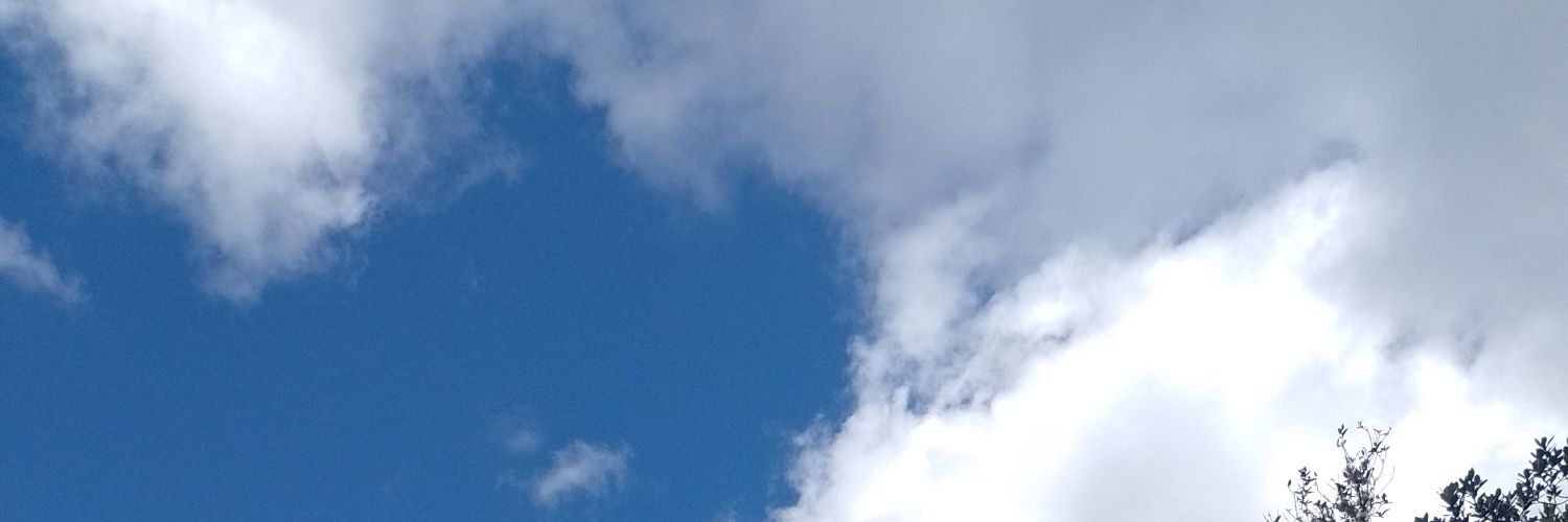 Fati 🇵🇪 ✨ banner