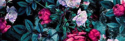 Annyy54's profile banner image