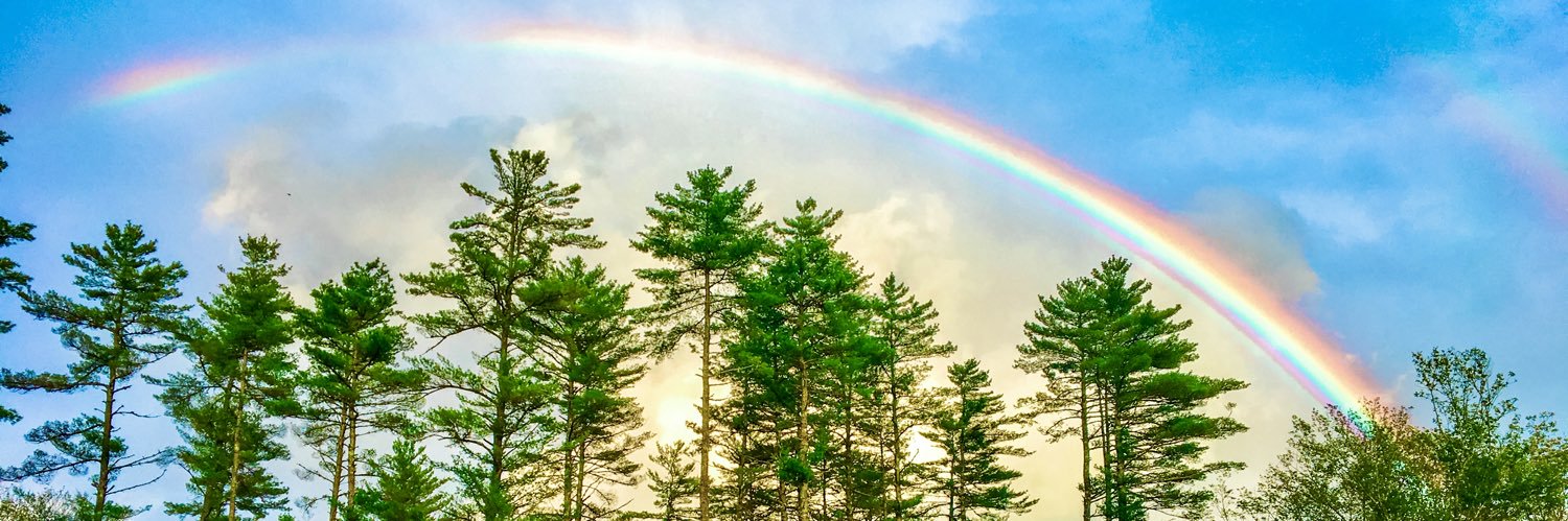 CaitlinCrowe's profile banner image