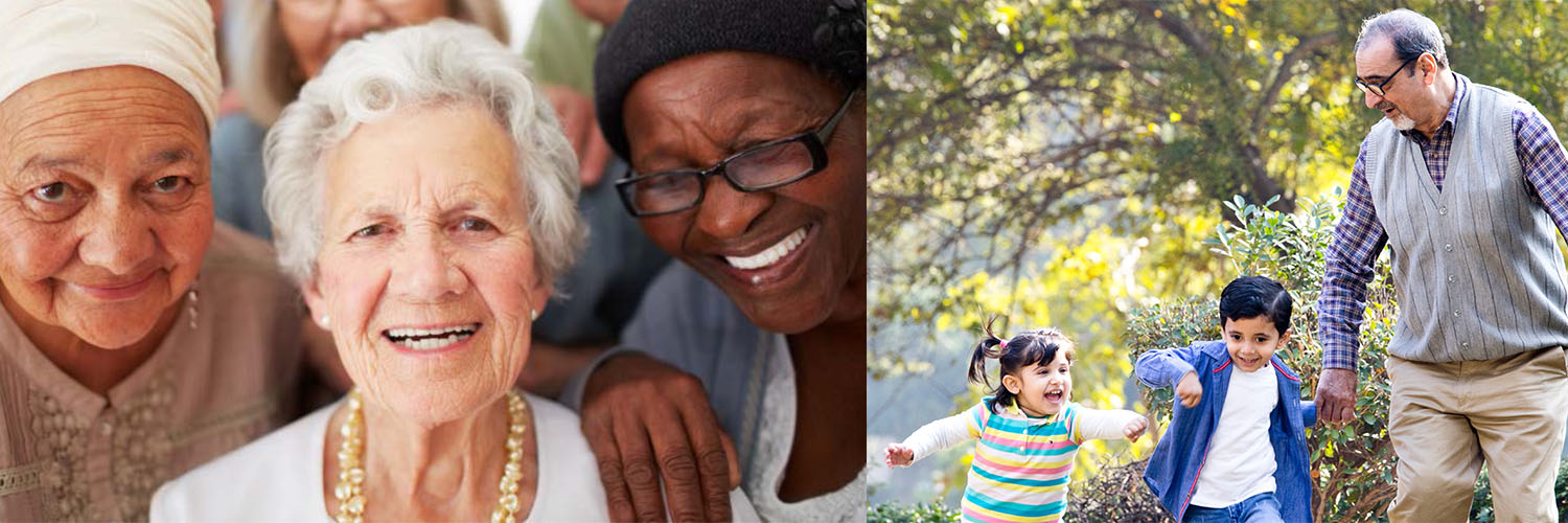 Inclusive Communities for Older Immigrants banner
