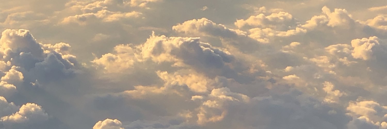 Toasssssssst's profile banner image