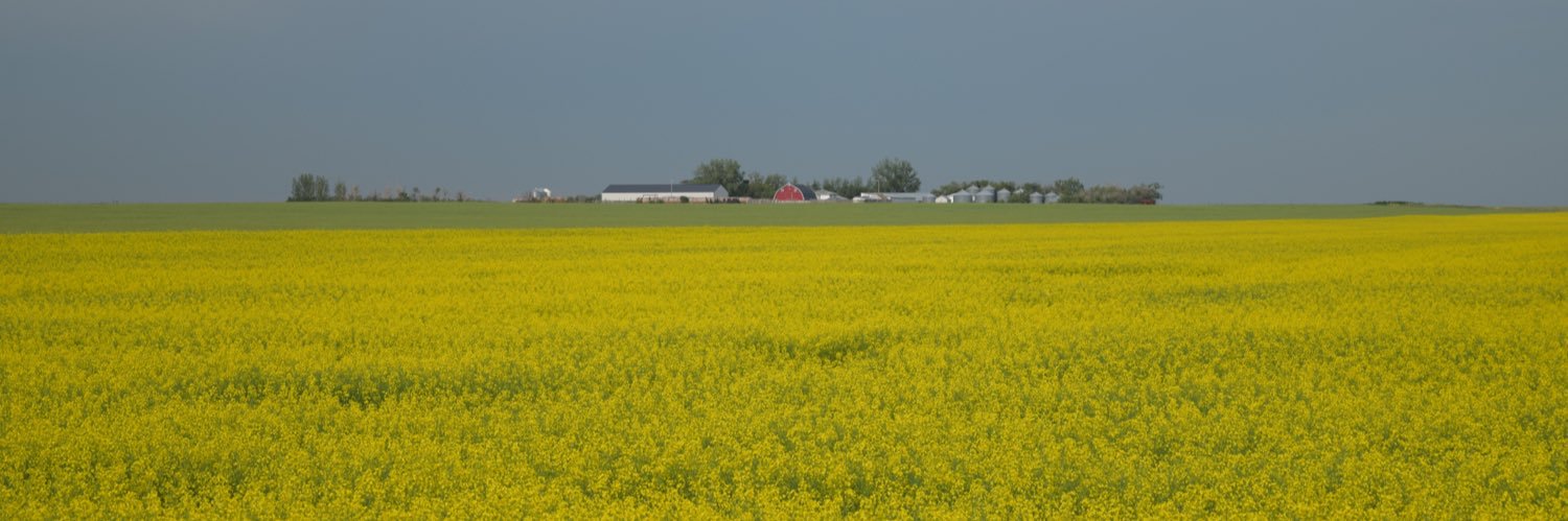 Chad Nicholas banner