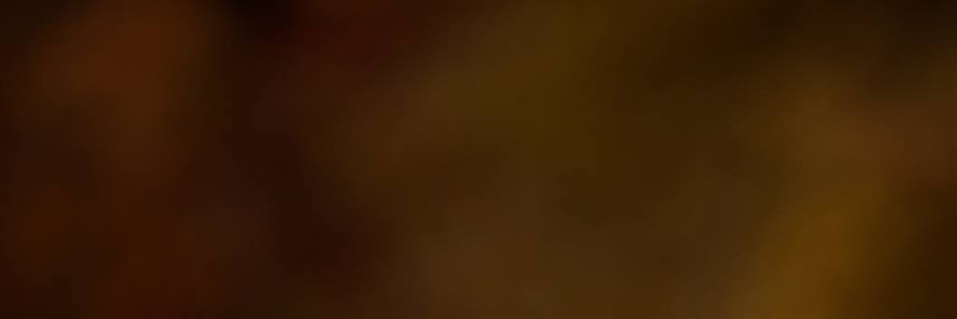 librarycapitan banner