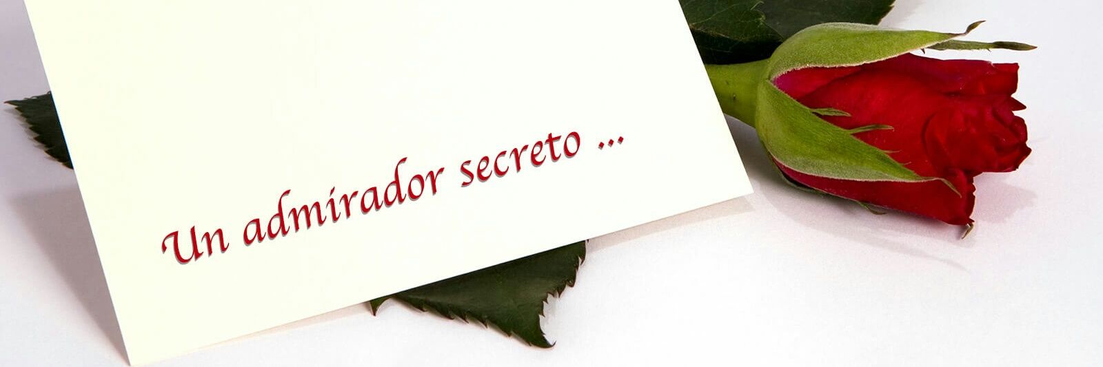 AdmiradordeSanta banner