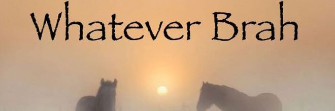 simjaegf's profile banner image
