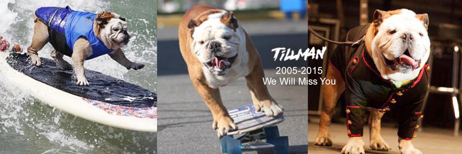 TillmanSkates's profile banner image