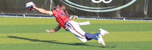 Allexis “Chip” Halstead banner