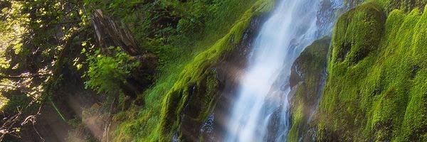 crgorge's profile banner image