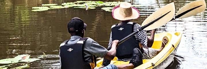 Michael Sessan banner