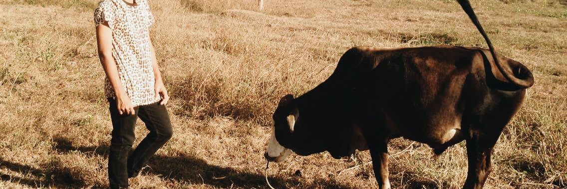 philiproar's profile banner image