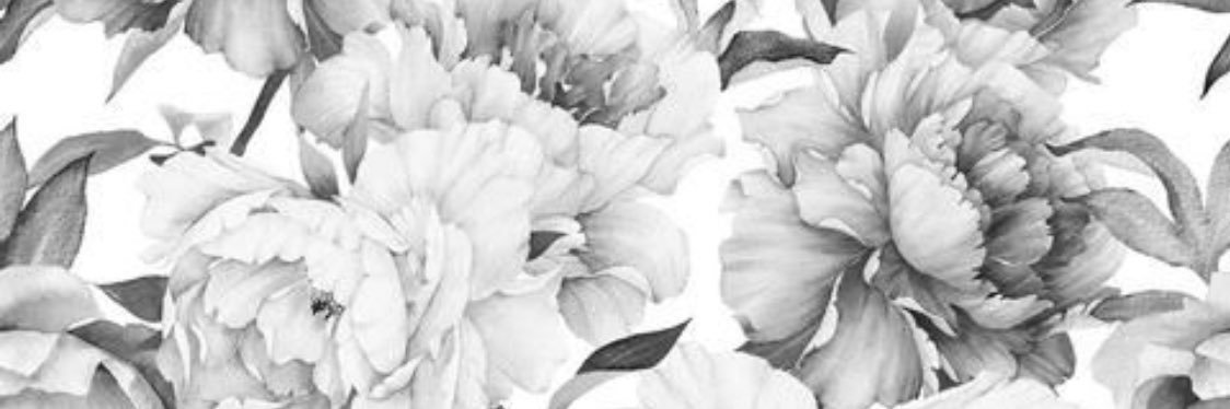 cc_ly's profile banner image