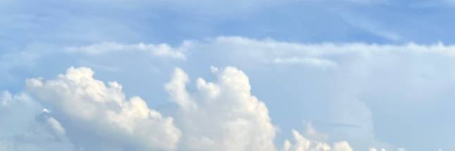congsuni1031's profile banner image