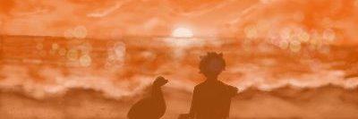DirkDirkGoose banner