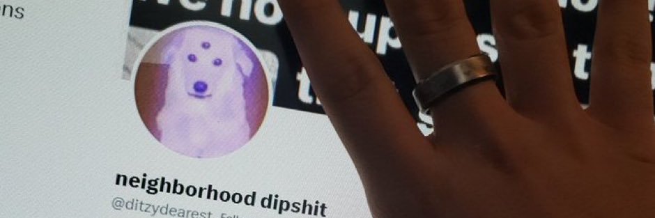 neighborhood dipshit banner