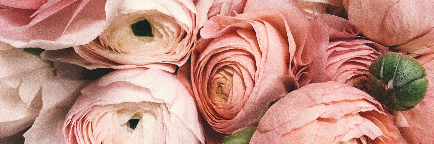 SarahDWare's profile banner image