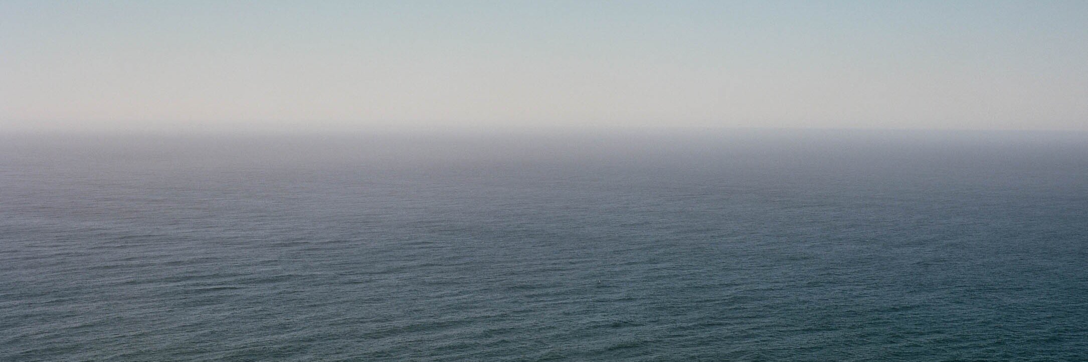 ThatAndrewKim's profile banner image