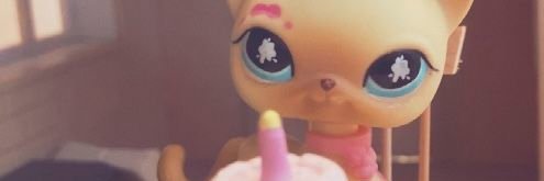 miiracels's profile banner image