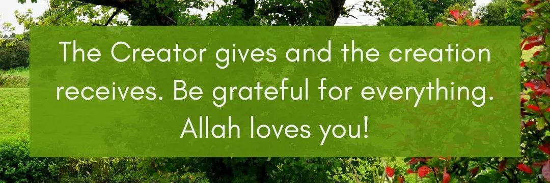 Alidally Ngozy banner