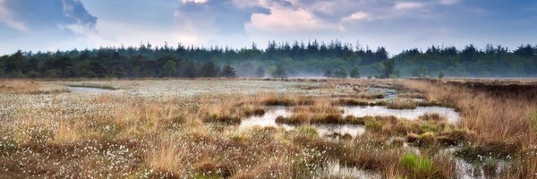 RSKWilding Profile Banner