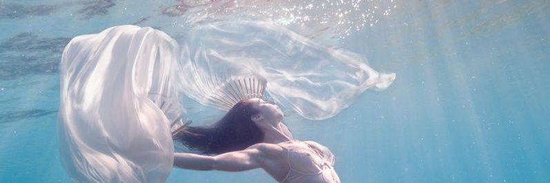 jamisonakb.g 「🦑」 banner