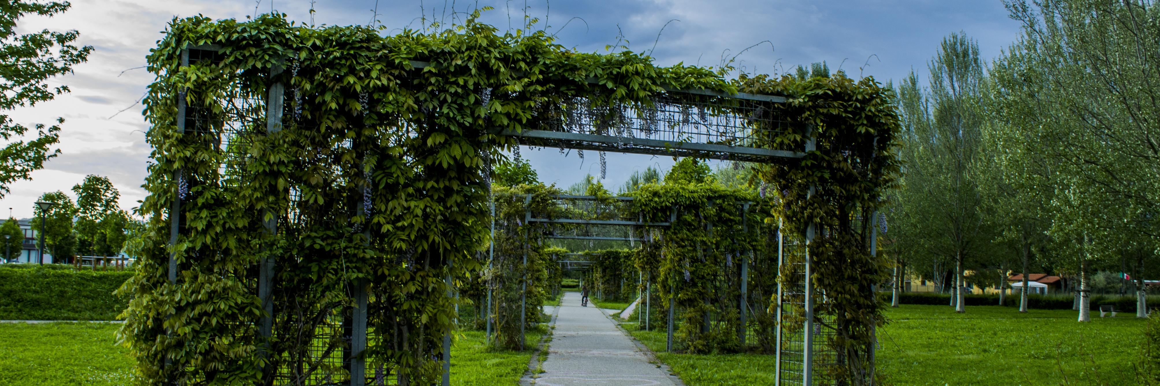 _GiuseppeParisi's profile banner image
