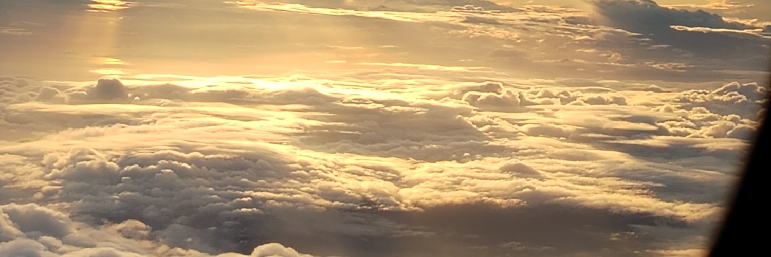 halshans2's profile banner image