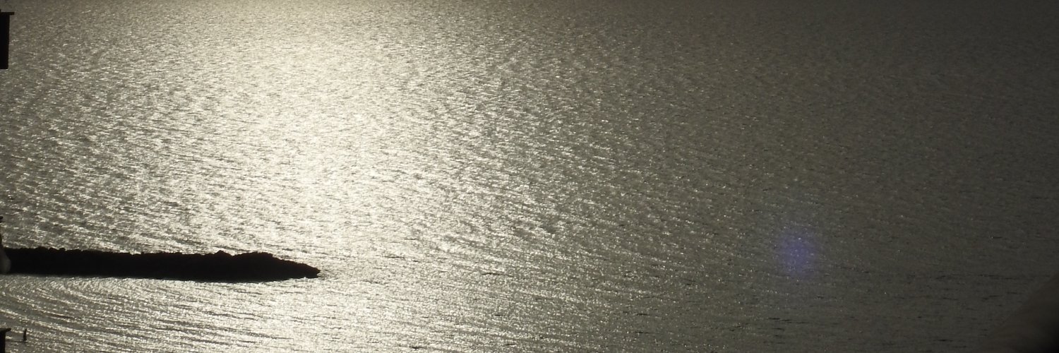 Boris banner