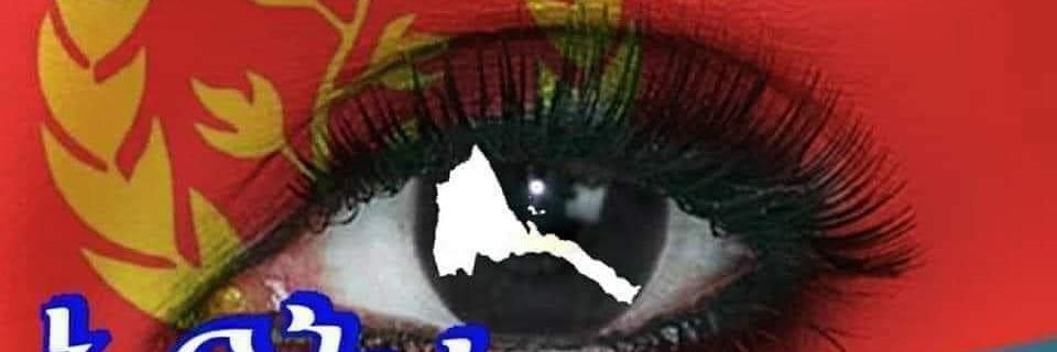 ElsaWalday's profile banner image
