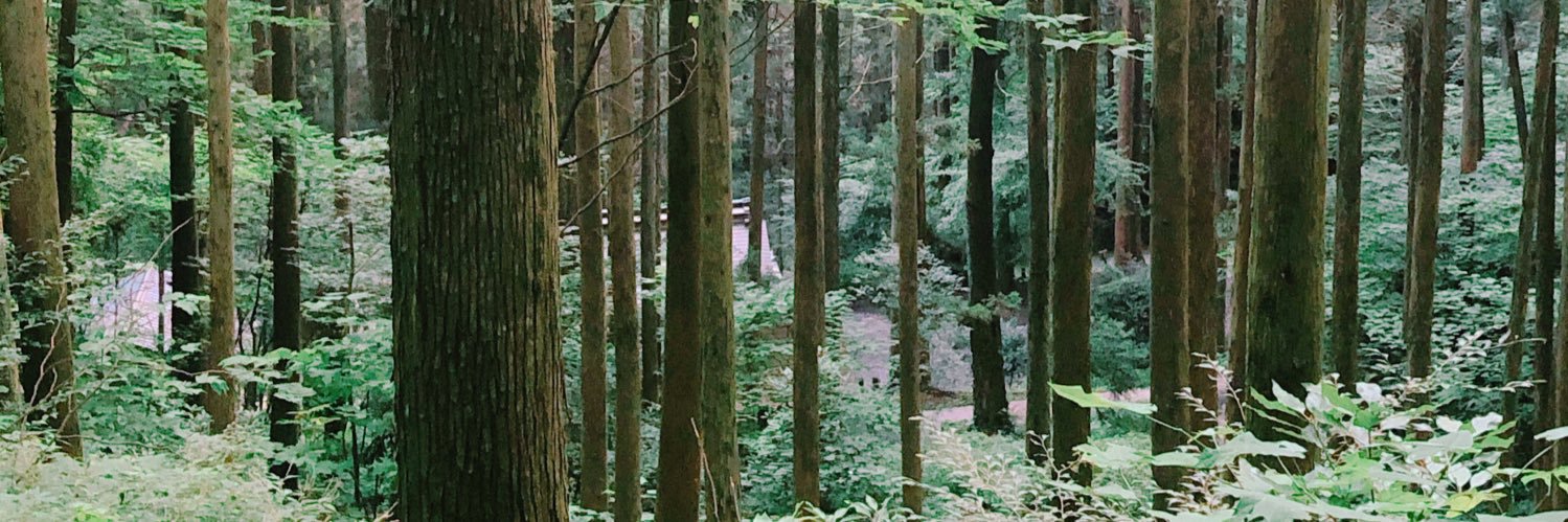plant_wire's profile banner image