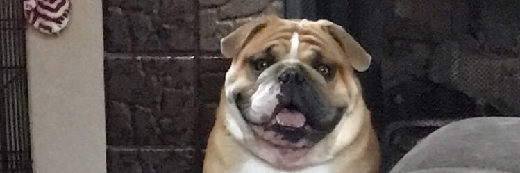 ExtremeJustine's profile banner image