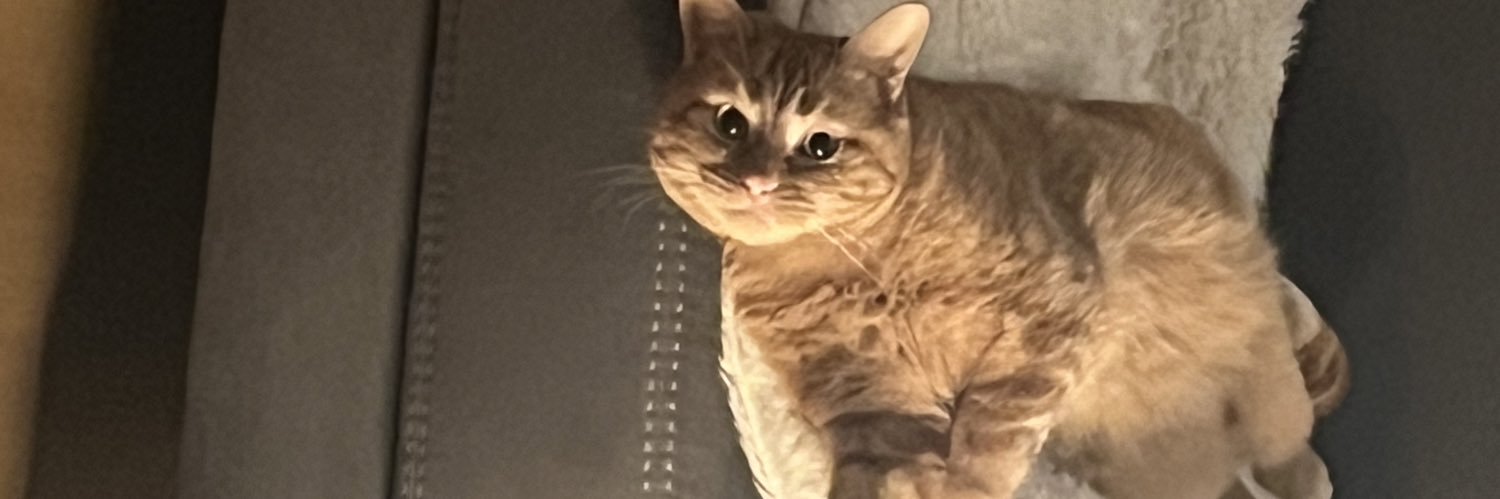 Boba banner