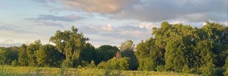 3ax_f's profile banner image