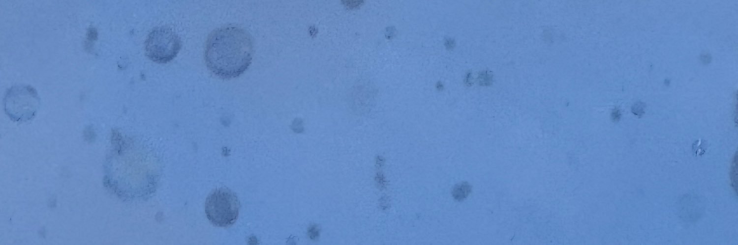 🌳 banner